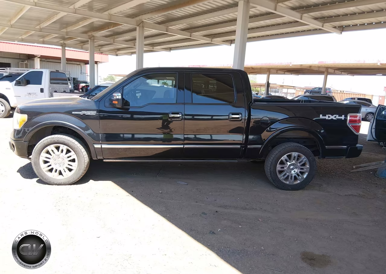 2010 Ford F-150 Fx4-Harley-Davidson-King Ranch-Lariat-Platinum-Xl-Xlt VIN:1FTFW1EV5AFD67171 - 14