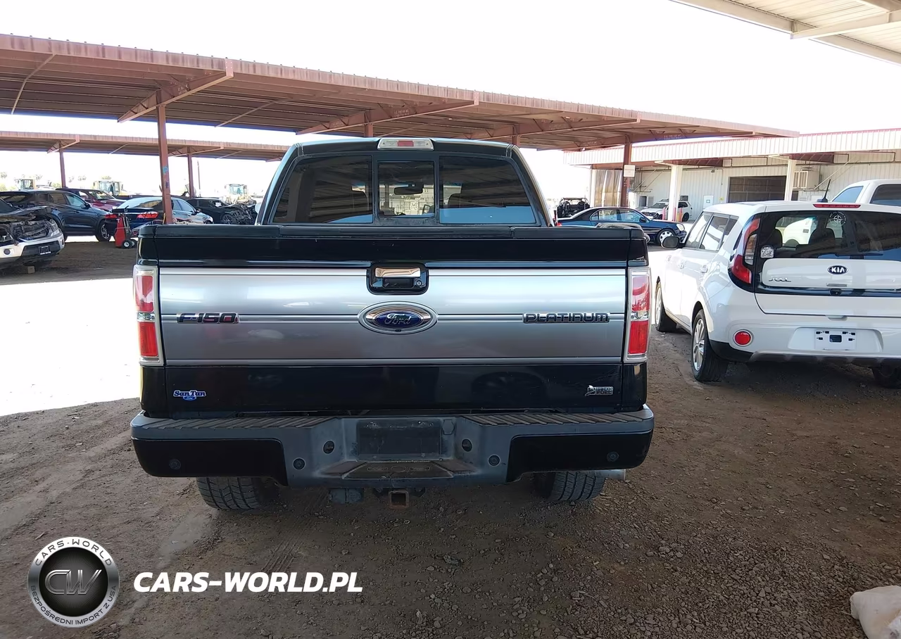 2010 Ford F-150 Fx4-Harley-Davidson-King Ranch-Lariat-Platinum-Xl-Xlt VIN:1FTFW1EV5AFD67171 - 16