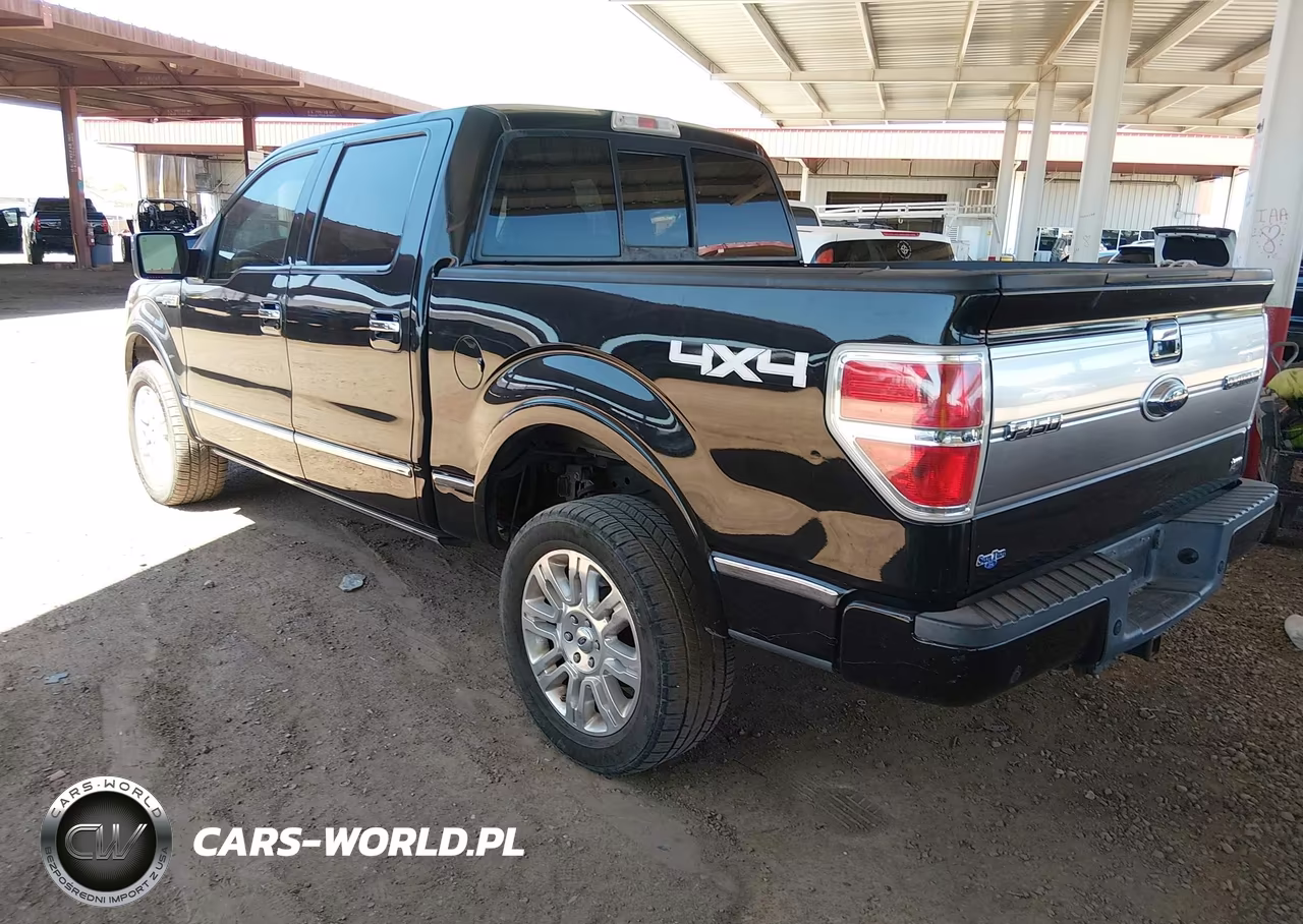 2010 Ford F-150 Fx4-Harley-Davidson-King Ranch-Lariat-Platinum-Xl-Xlt VIN:1FTFW1EV5AFD67171 - 3