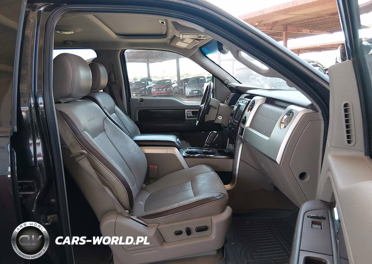 2010 Ford F-150 Fx4-Harley-Davidson-King Ranch-Lariat-Platinum-Xl-Xlt VIN:1FTFW1EV5AFD67171 - 5