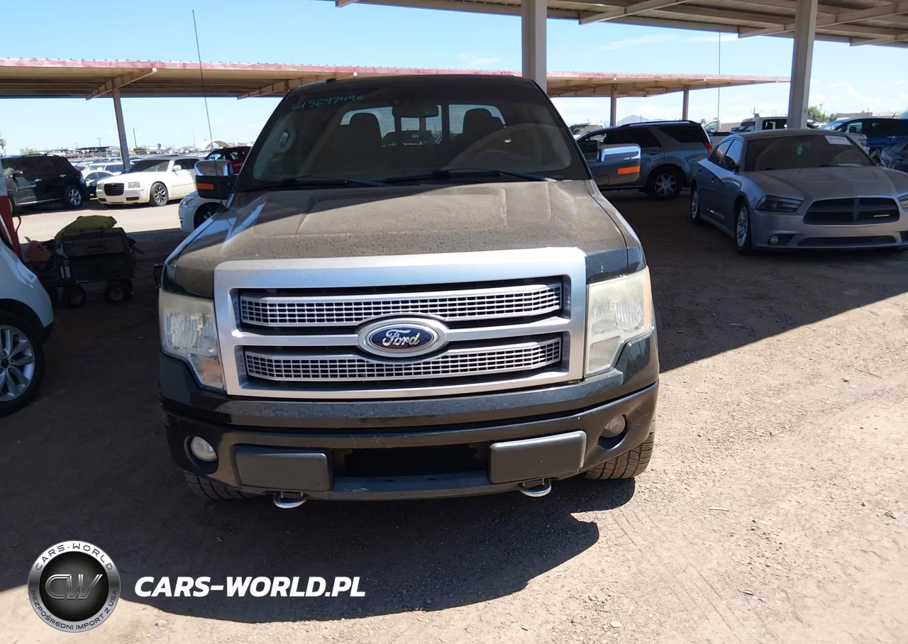 2010 Ford F-150 Fx4-Harley-Davidson-King Ranch-Lariat-Platinum-Xl-Xlt VIN:1FTFW1EV5AFD67171 - 6