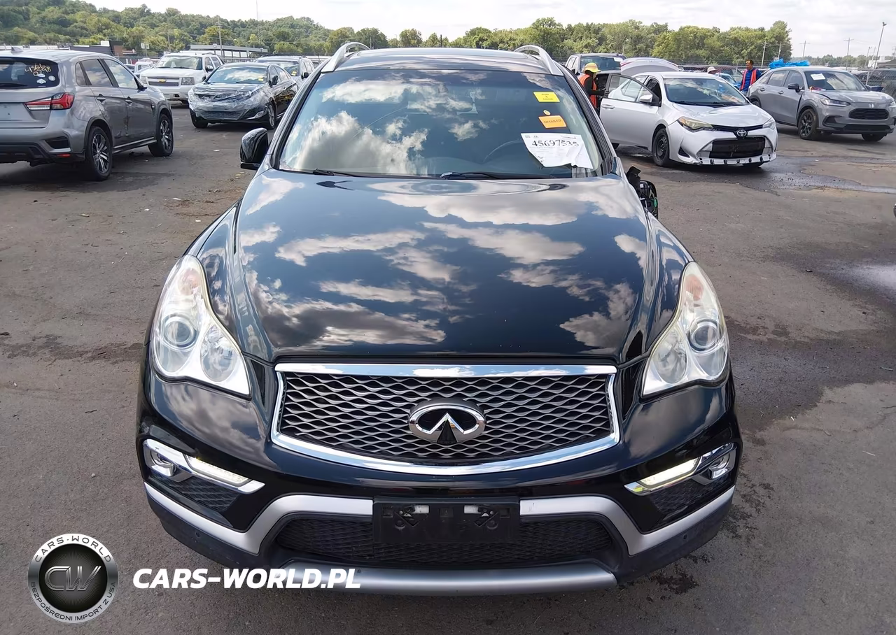 2016 Infiniti Qx50 VIN:JN1BJ0RR8GM269697 - 12