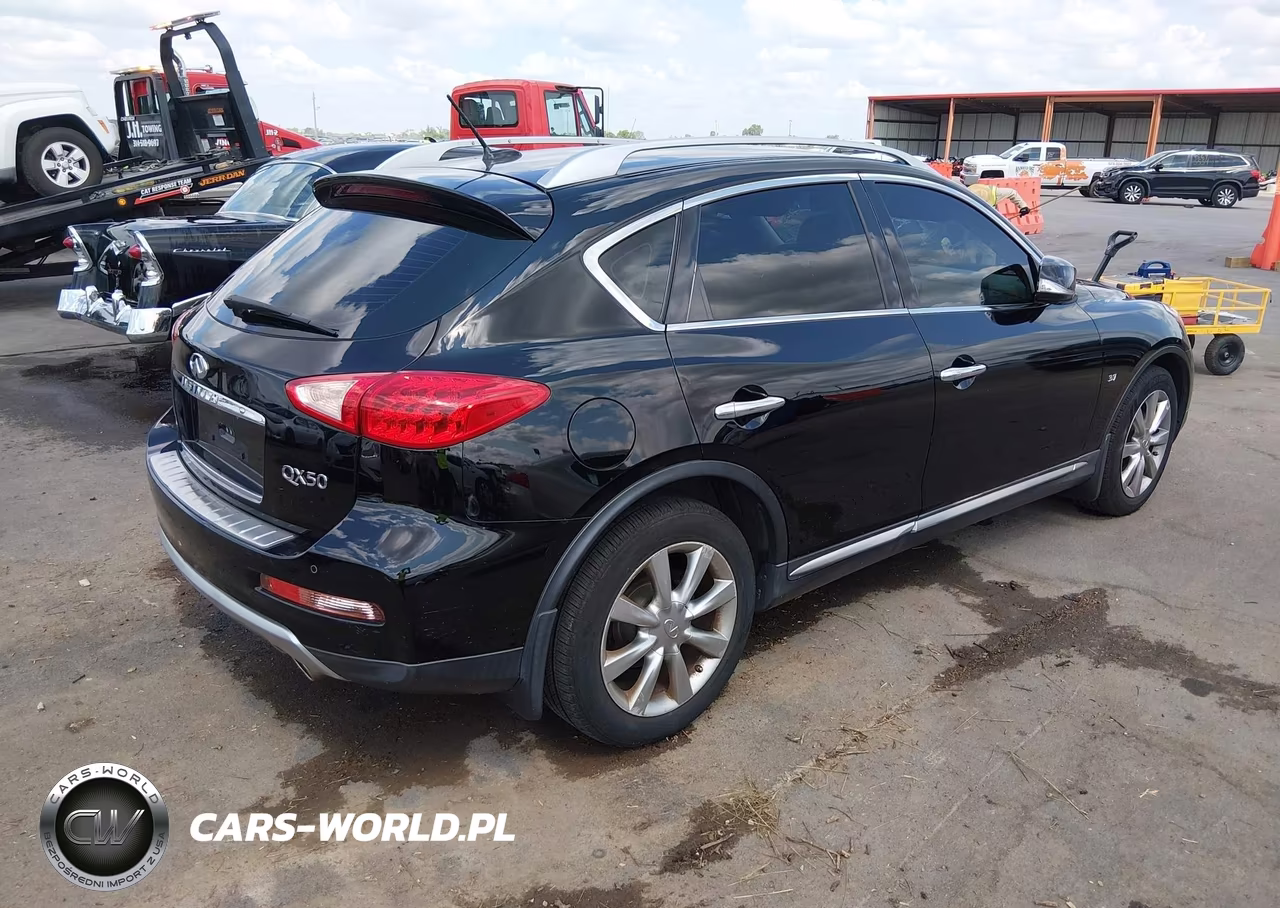 2016 Infiniti Qx50 VIN:JN1BJ0RR8GM269697 - 4