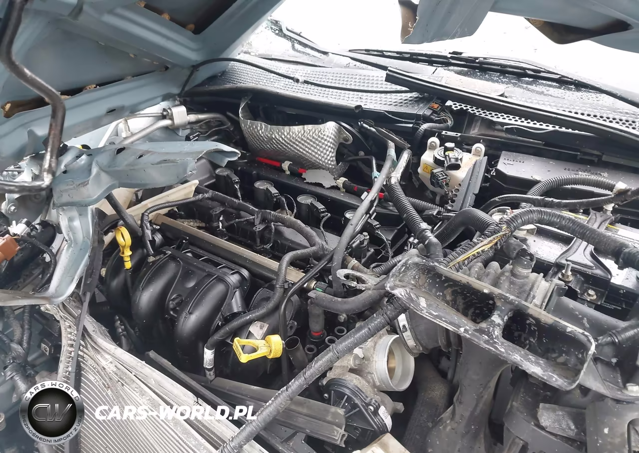 2009 Ford Focus Se VIN:1FAHP35N89W105843 - 10