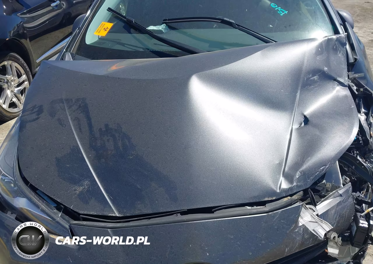 2019 Toyota Prius VIN:JTDL9RFU2K3006885 - 10