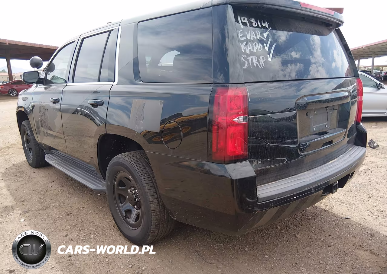 2019 Chevrolet Tahoe Commercial Fleet VIN:1GNLCDEC9KR380105 - 3