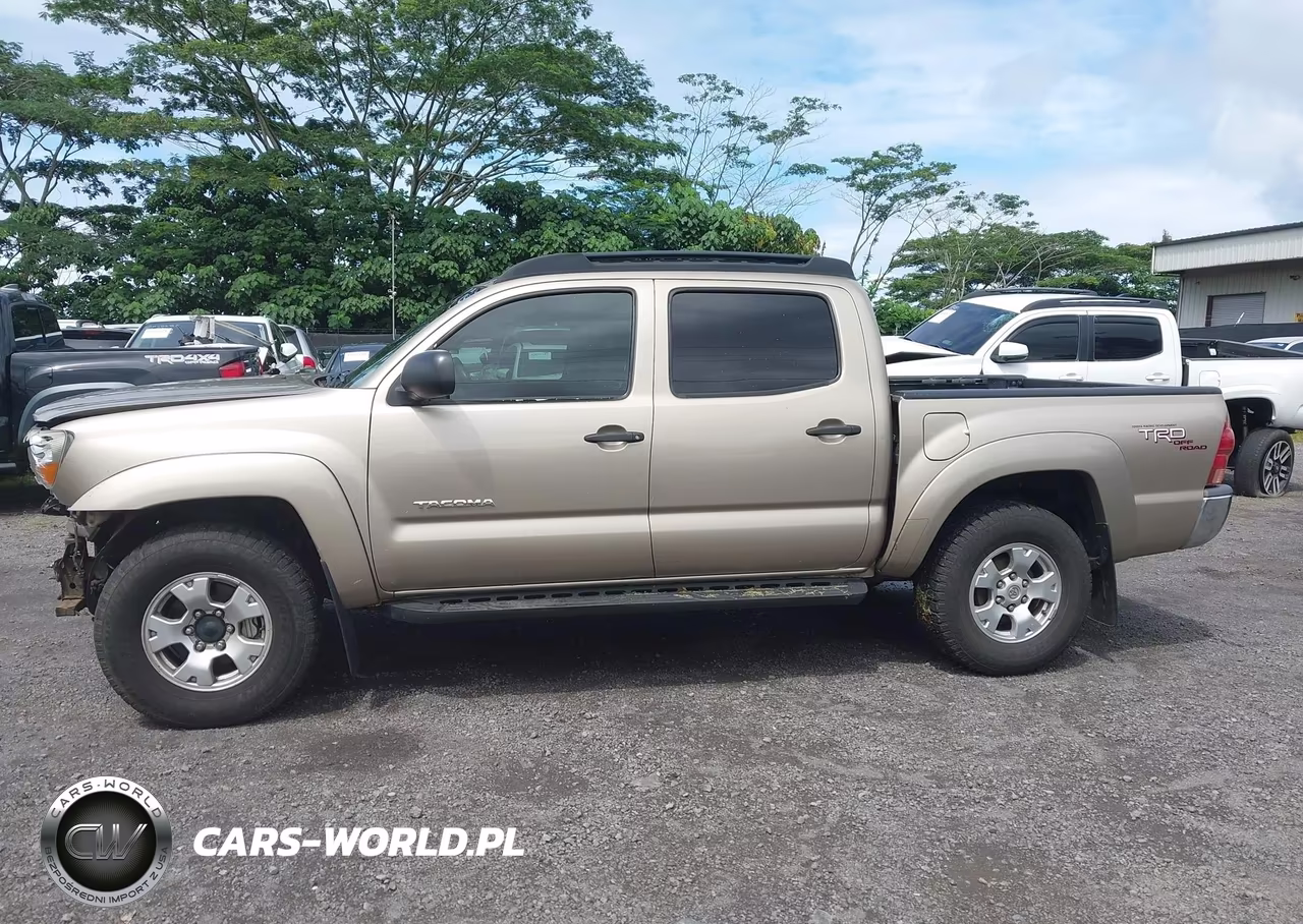 2005 Toyota Tacoma Base V6 VIN:5TELU42N15Z003806 - 15