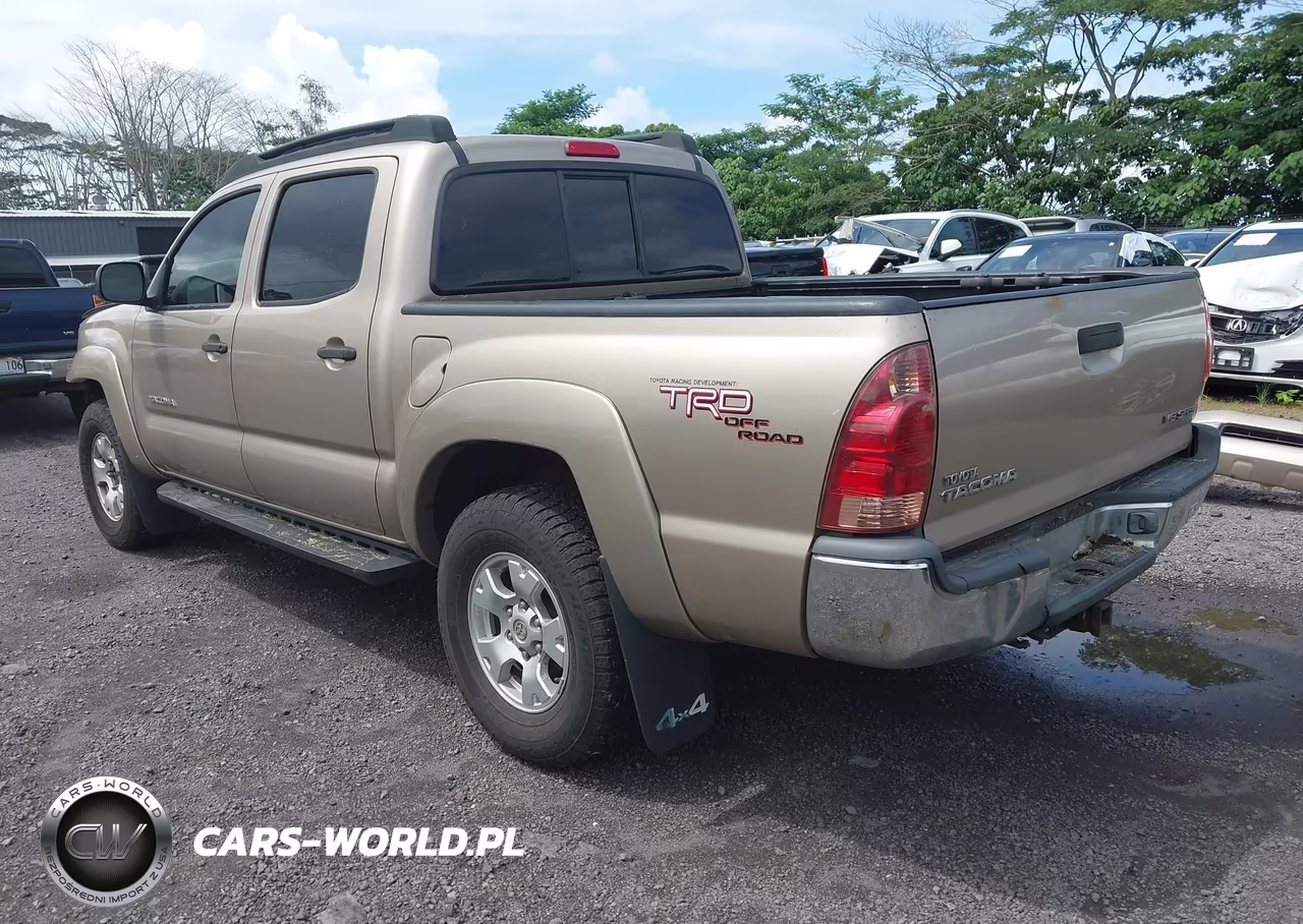 2005 Toyota Tacoma Base V6 VIN:5TELU42N15Z003806 - 3