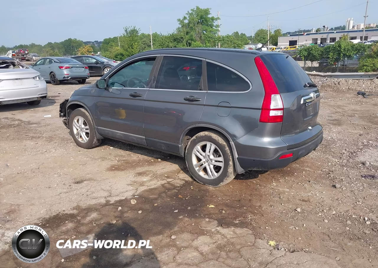 2010 Honda Cr-V Ex VIN:5J6RE4H58AL031586 - 3