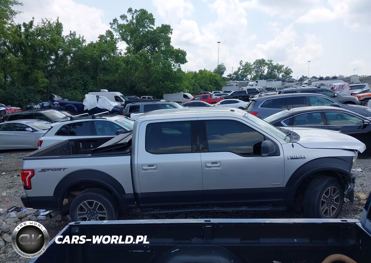 2017 Ford F-150 Xlt VIN:1FTEW1CP8HFA69692 - 13