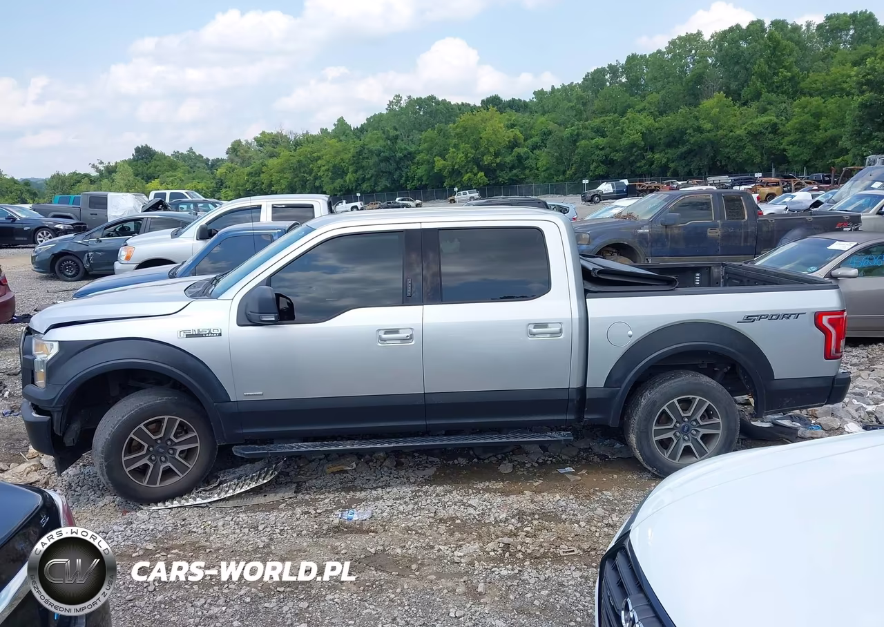 2017 Ford F-150 Xlt VIN:1FTEW1CP8HFA69692 - 14