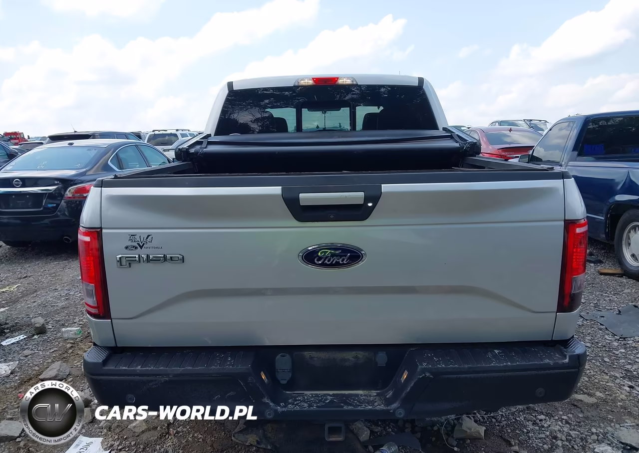 2017 Ford F-150 Xlt VIN:1FTEW1CP8HFA69692 - 16
