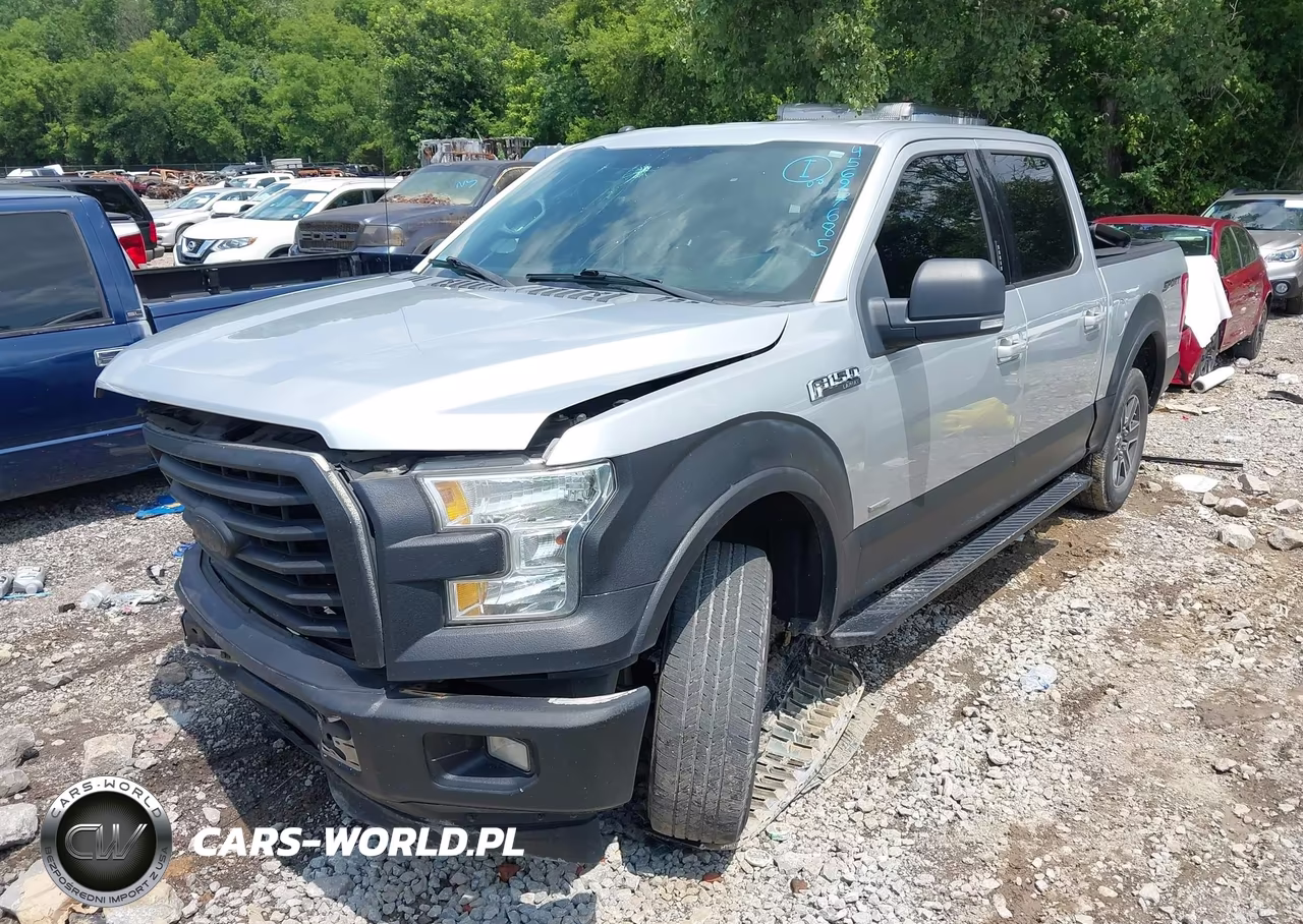 2017 Ford F-150 Xlt VIN:1FTEW1CP8HFA69692 - 2