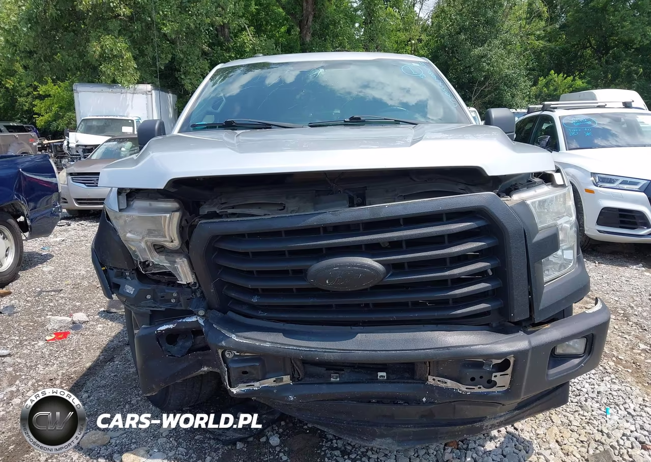 2017 Ford F-150 Xlt VIN:1FTEW1CP8HFA69692 - 6