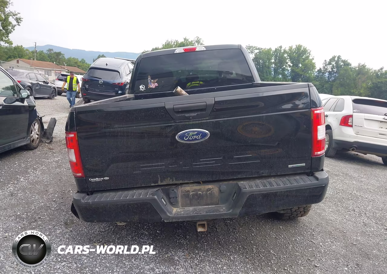 2019 Ford F-150 Xl VIN:1FTEX1EPXKFD28880 - 16