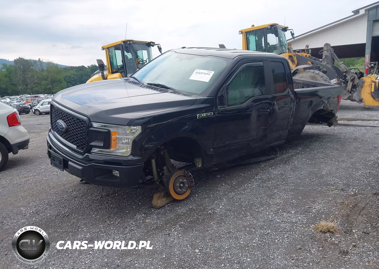 2019 Ford F-150 Xl VIN:1FTEX1EPXKFD28880 - 2