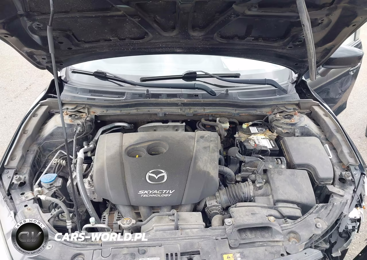 2014 Mazda Mazda3 I Sport VIN:JM1BM1U75E1121781 - 10