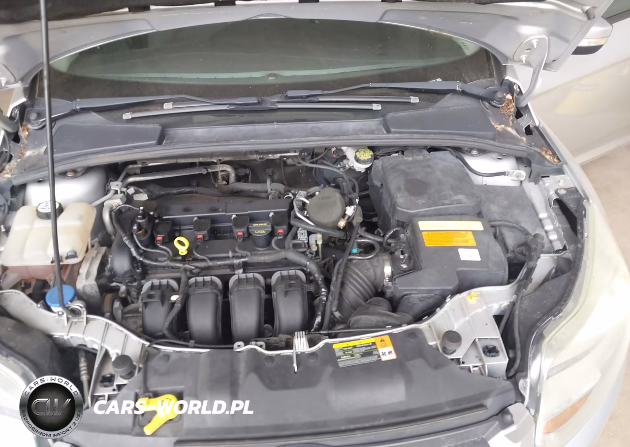 2013 Ford Focus Se VIN:1FADP3F25DL190010 - 10