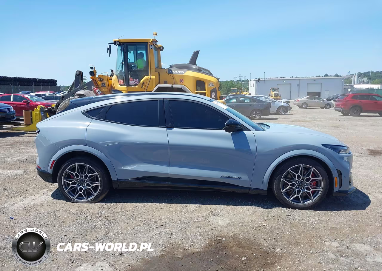 2024 Ford Mustang Mach-E Gt VIN:3FMTK4SX5RMA43439 - 12