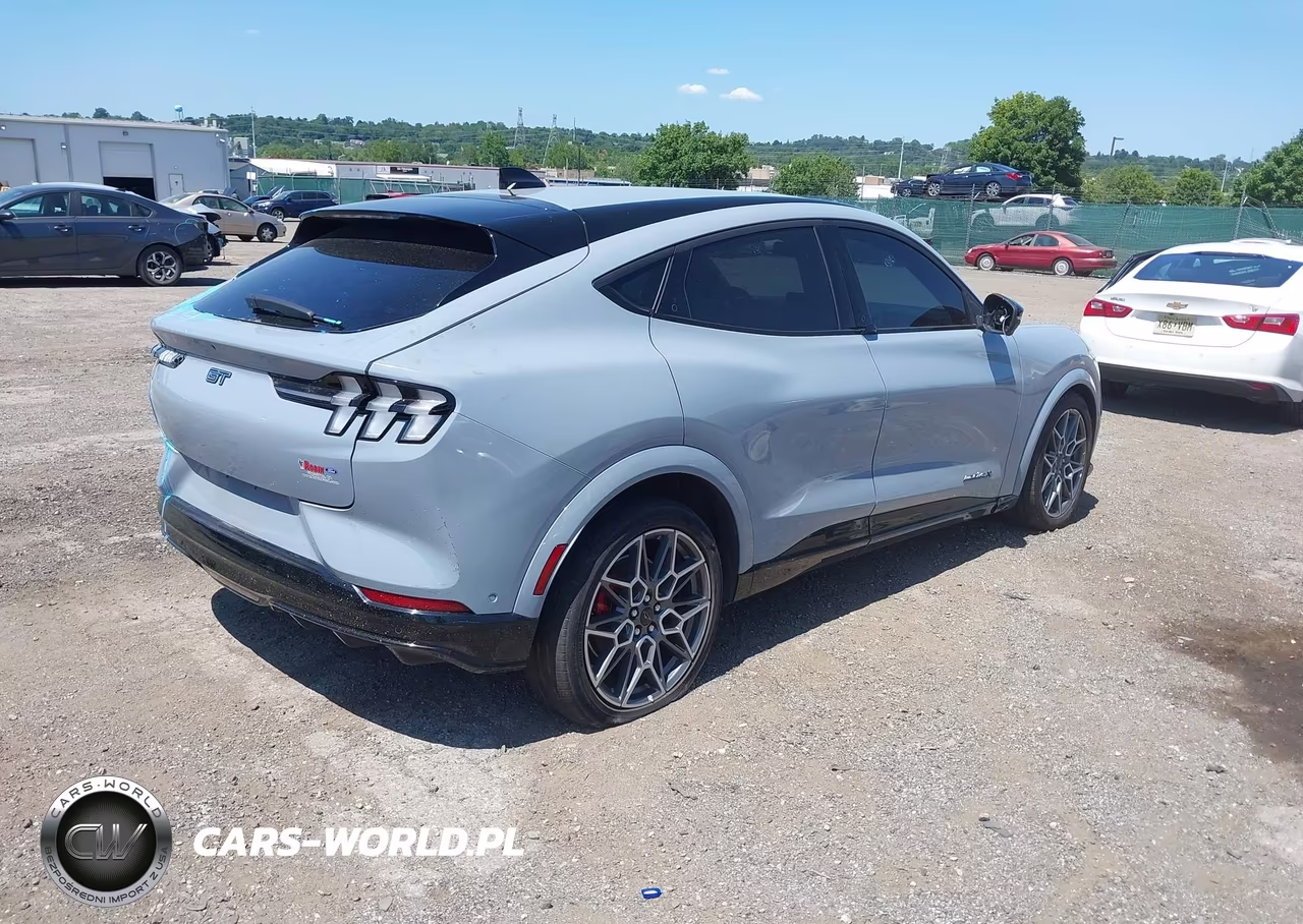 2024 Ford Mustang Mach-E Gt VIN:3FMTK4SX5RMA43439 - 4