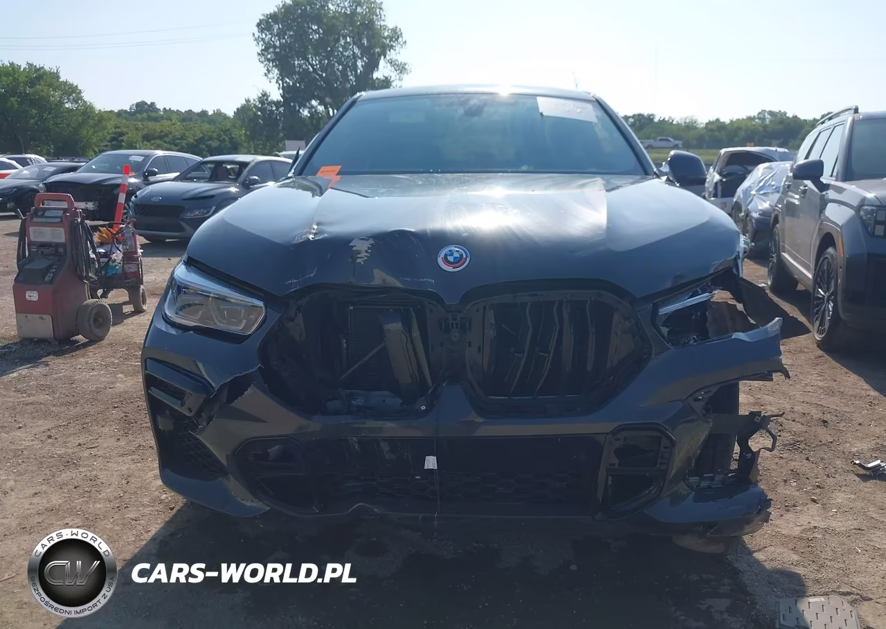 2023 BMW X6 M50I VIN:5UXCY8C08P9N58067 - 13