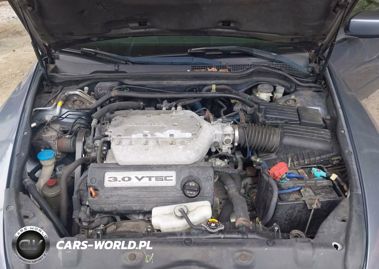2007 Honda Accord 3.0 Ex VIN:1HGCM81697A004556 - 10