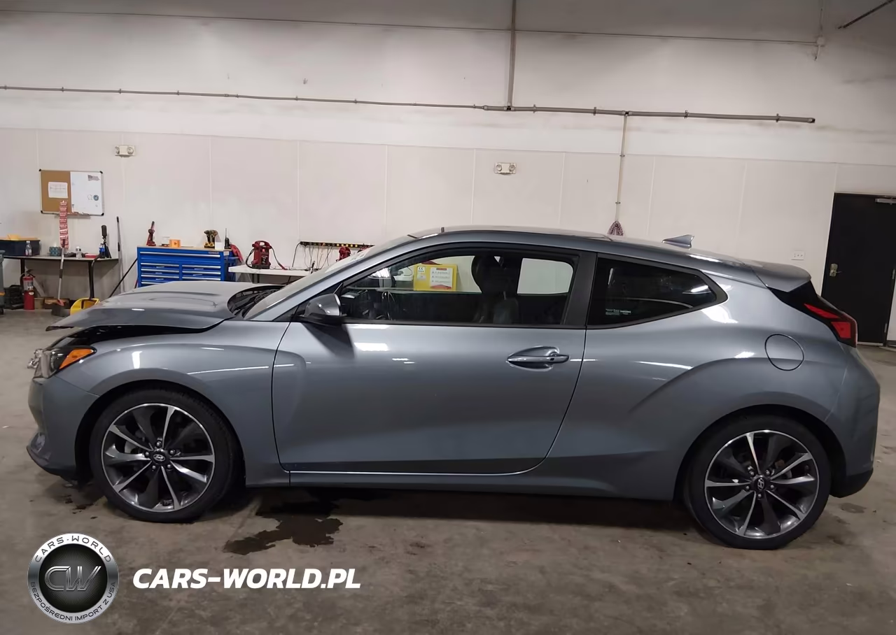 2019 Hyundai Veloster 2.0 Premium VIN:KMHTG6AF7KU004245 - 15