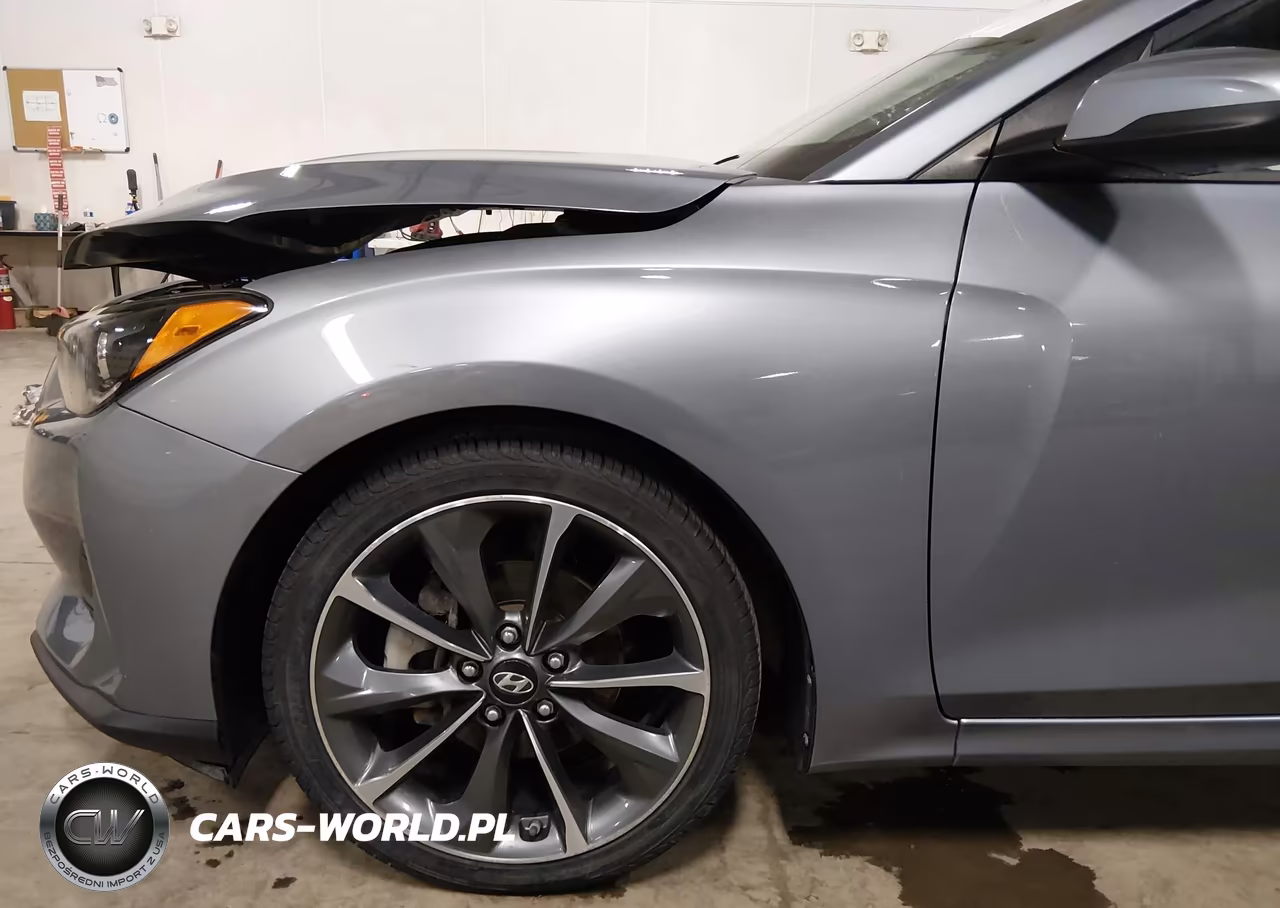 2019 Hyundai Veloster 2.0 Premium VIN:KMHTG6AF7KU004245 - 20