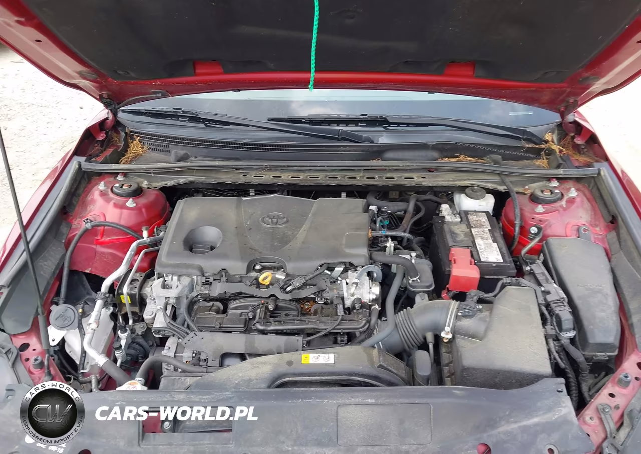 2021 Toyota Camry Le VIN:4T1C11AK8MU601876 - 10