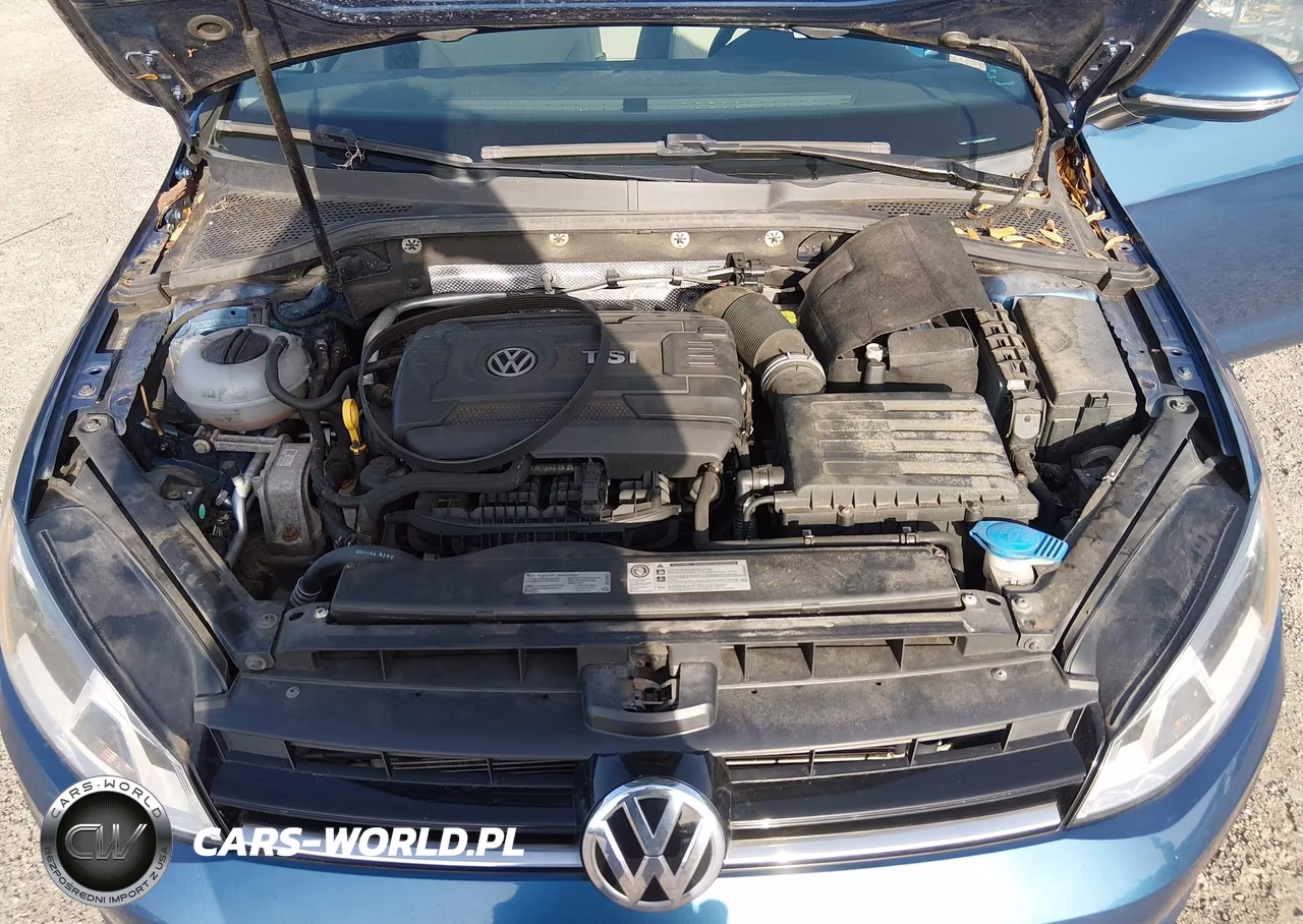 2016 Volkswagen Golf Tsi S 4-Door VIN:3VW217AU9GM023457 - 10