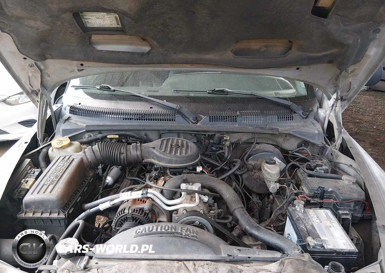 1999 Dodge Durango VIN:1B4HS28ZXXF527463 - 10