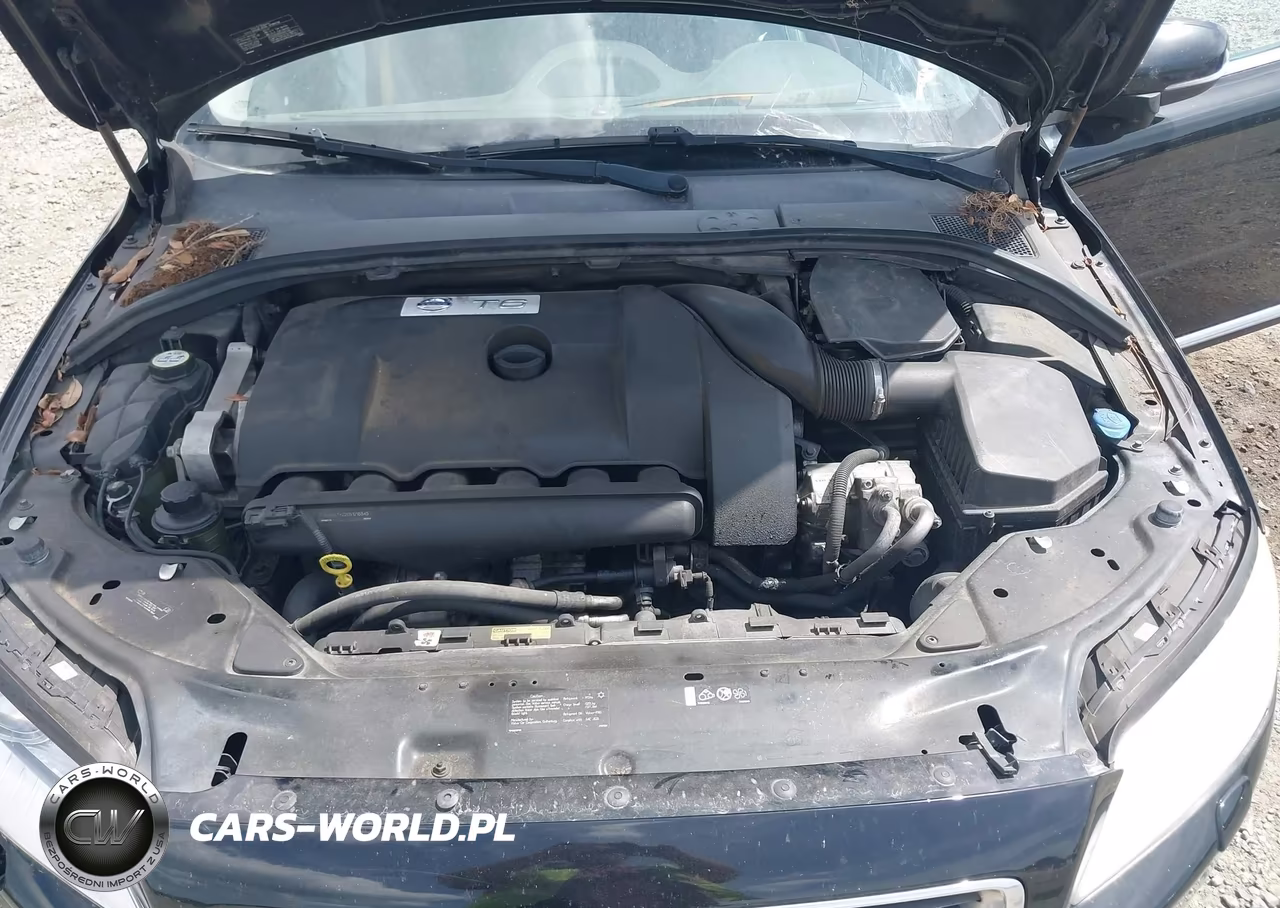 2013 Volvo S80 T6-T6 Platinum-T6 Premier Plus VIN:YV1902AH6D1165830 - 10