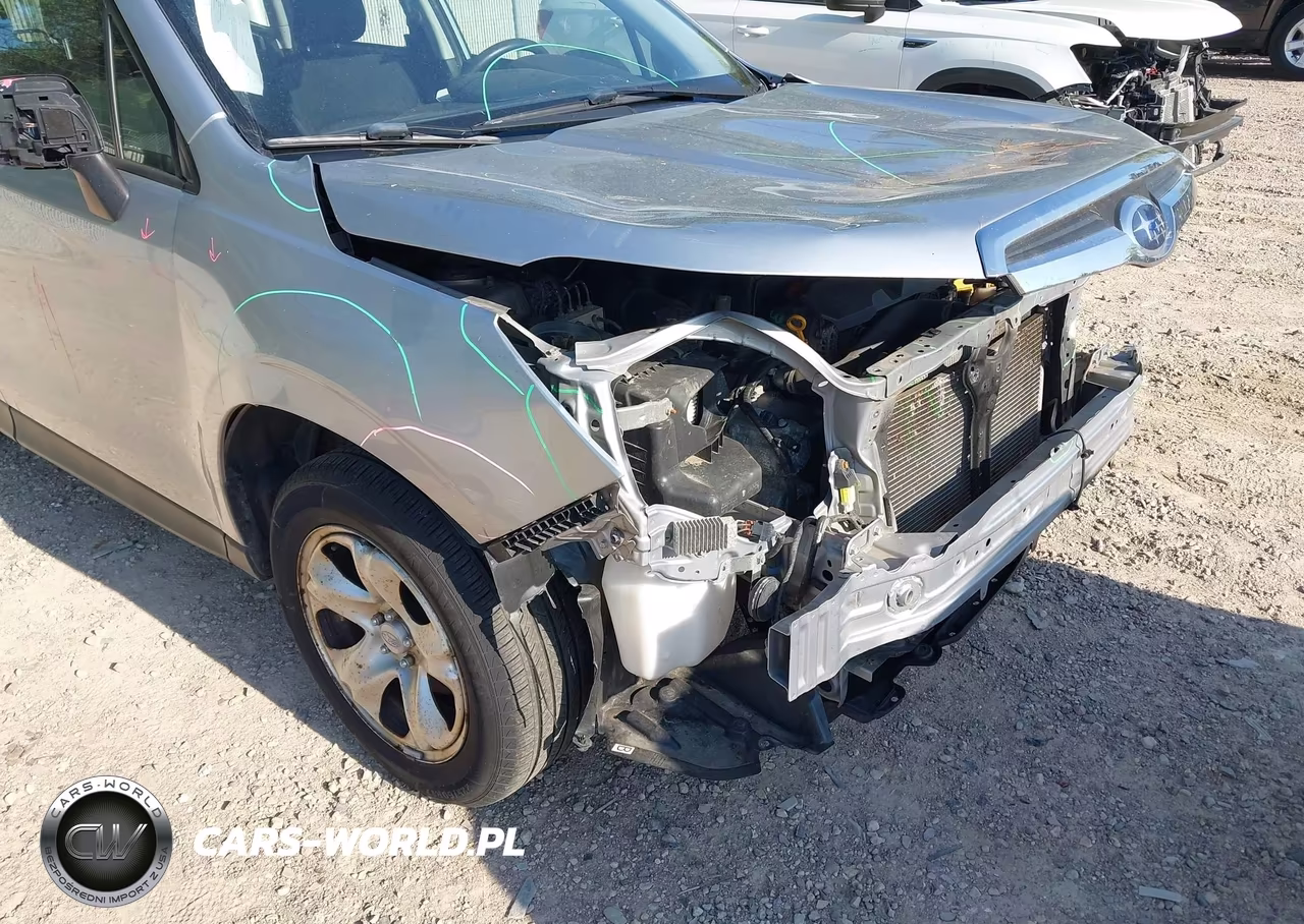 2016 Subaru Forester 2.5I VIN:JF2SJAAC4GG429794 - 18