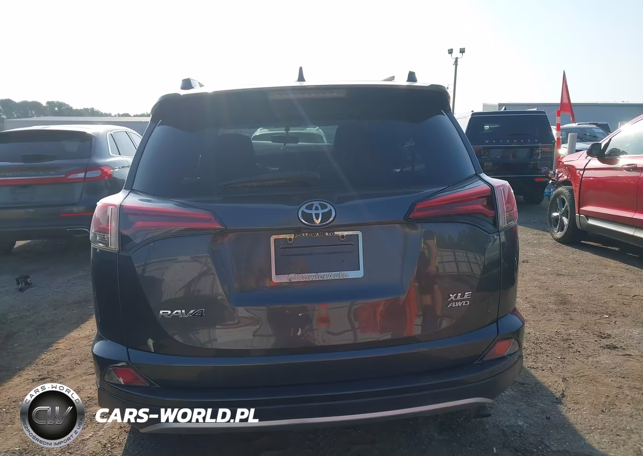 2016 Toyota Rav4 Xle VIN:2T3RFREV6GW491565 - 16