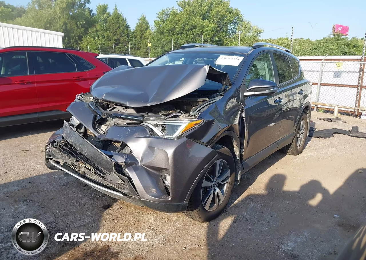 2016 Toyota Rav4 Xle VIN:2T3RFREV6GW491565 - 2