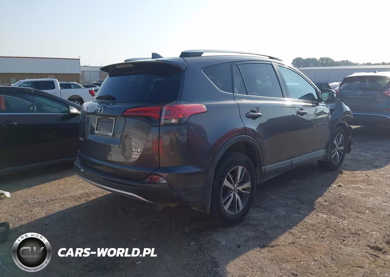 2016 Toyota Rav4 Xle VIN:2T3RFREV6GW491565 - 4