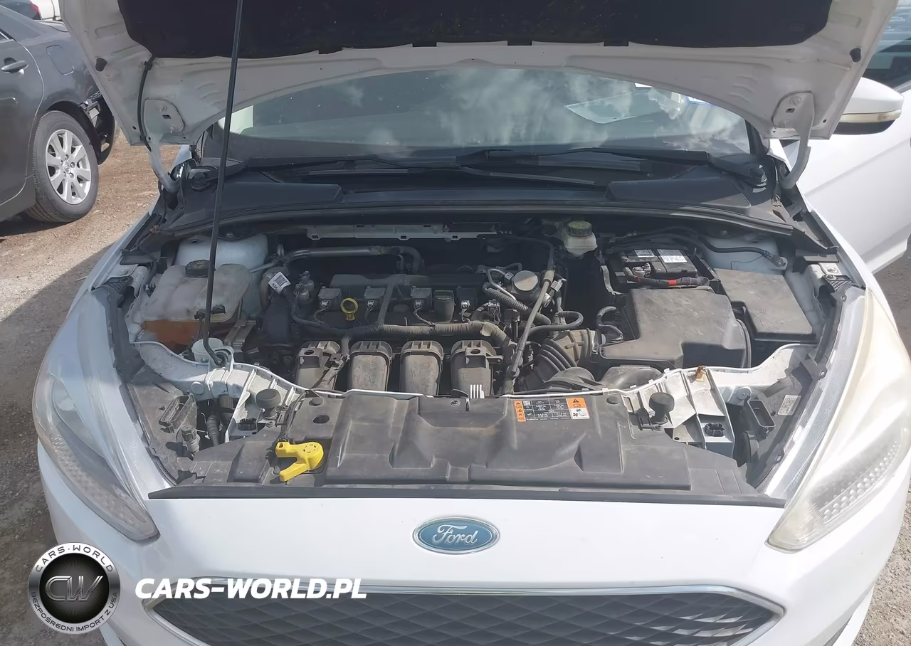 2017 Ford Focus Se VIN:1FADP3F26HL313951 - 10