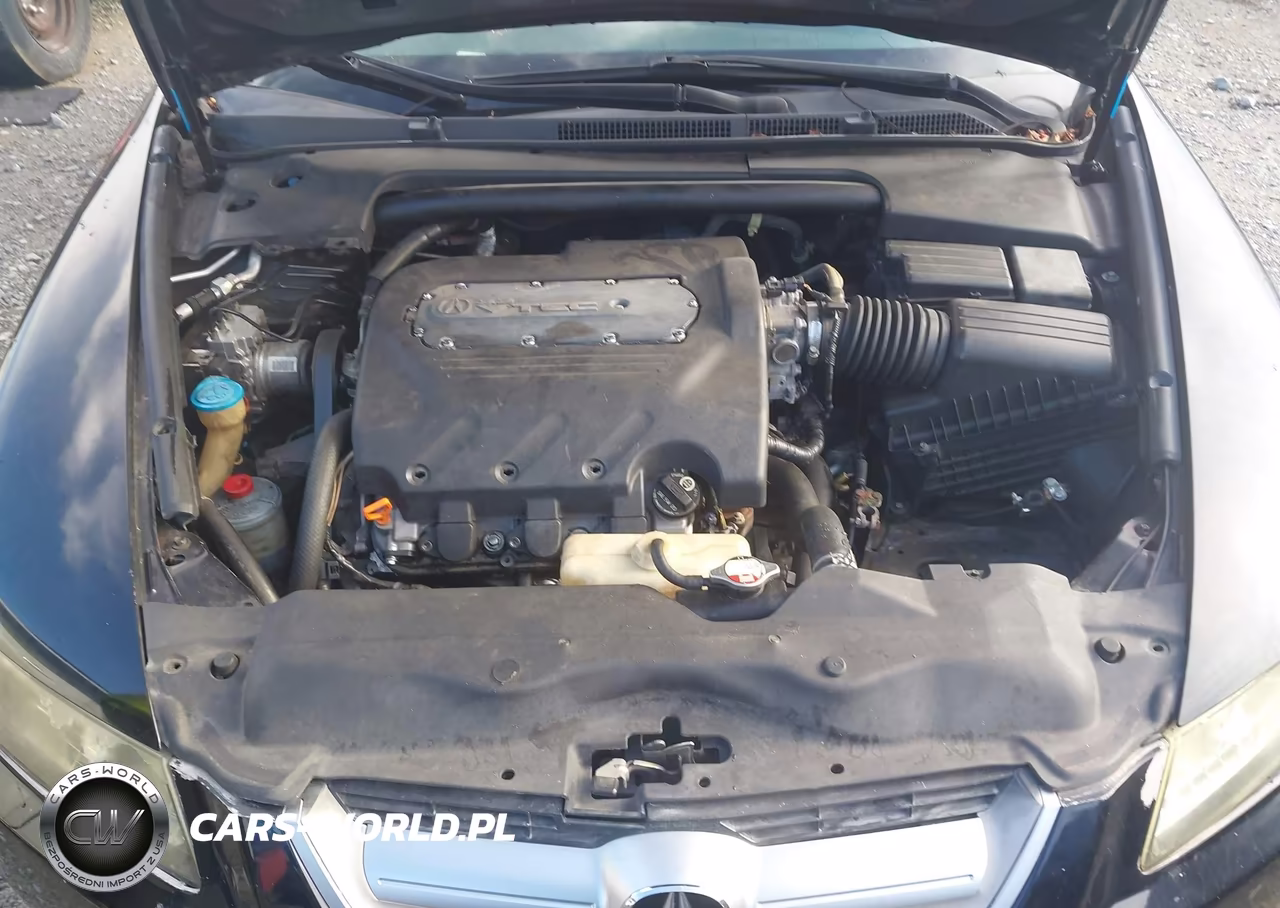 2005 Acura Tl VIN:19UUA66205A023923 - 10
