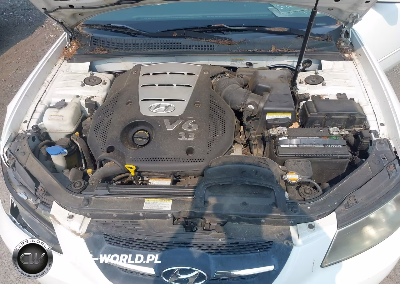 2007 Hyundai Sonata Limited-Limited W-Xm-Se-Se W-Xm VIN:5NPEU46FX7H216061 - 10