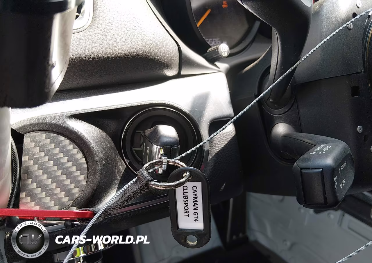 2016 Porsche Cayman VIN:WP0ZZZ98ZGK199705 - 11