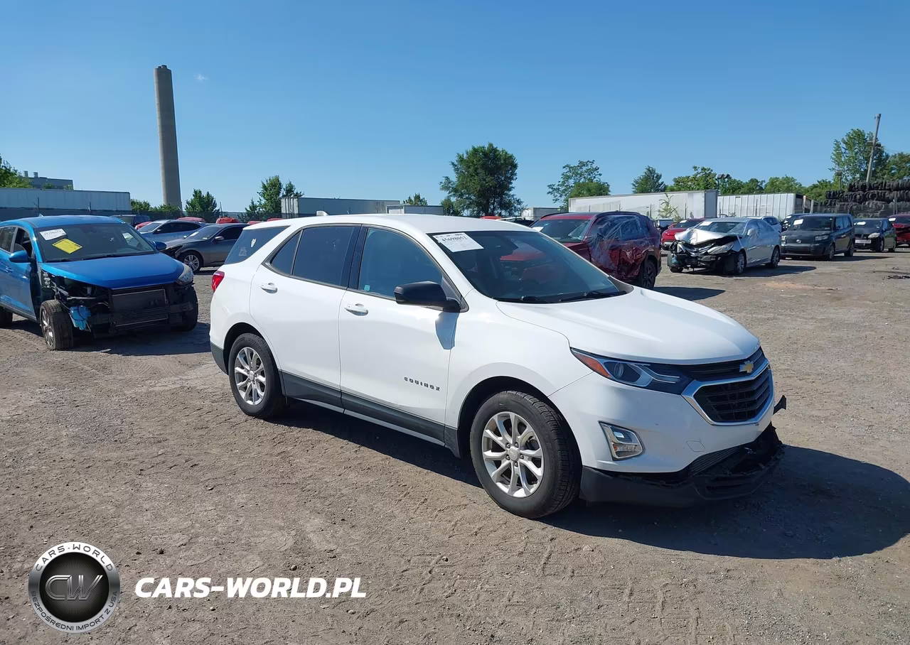 2019 Chevrolet Equinox Ls – zdjęcie 1 z 16
