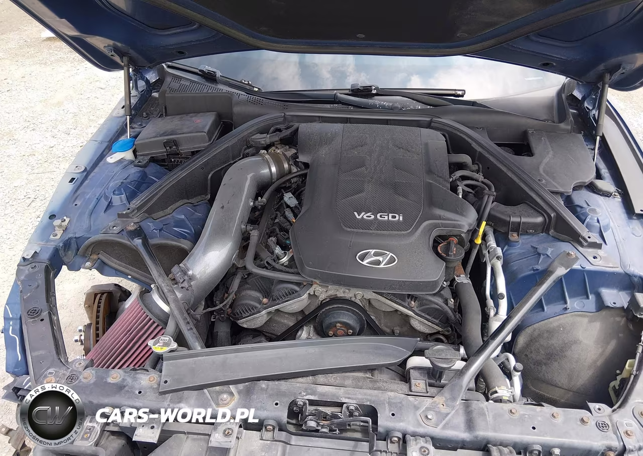 2015 Hyundai Genesis 3.8 Technology VIN:KMHGN4JE8FU036596 - 10