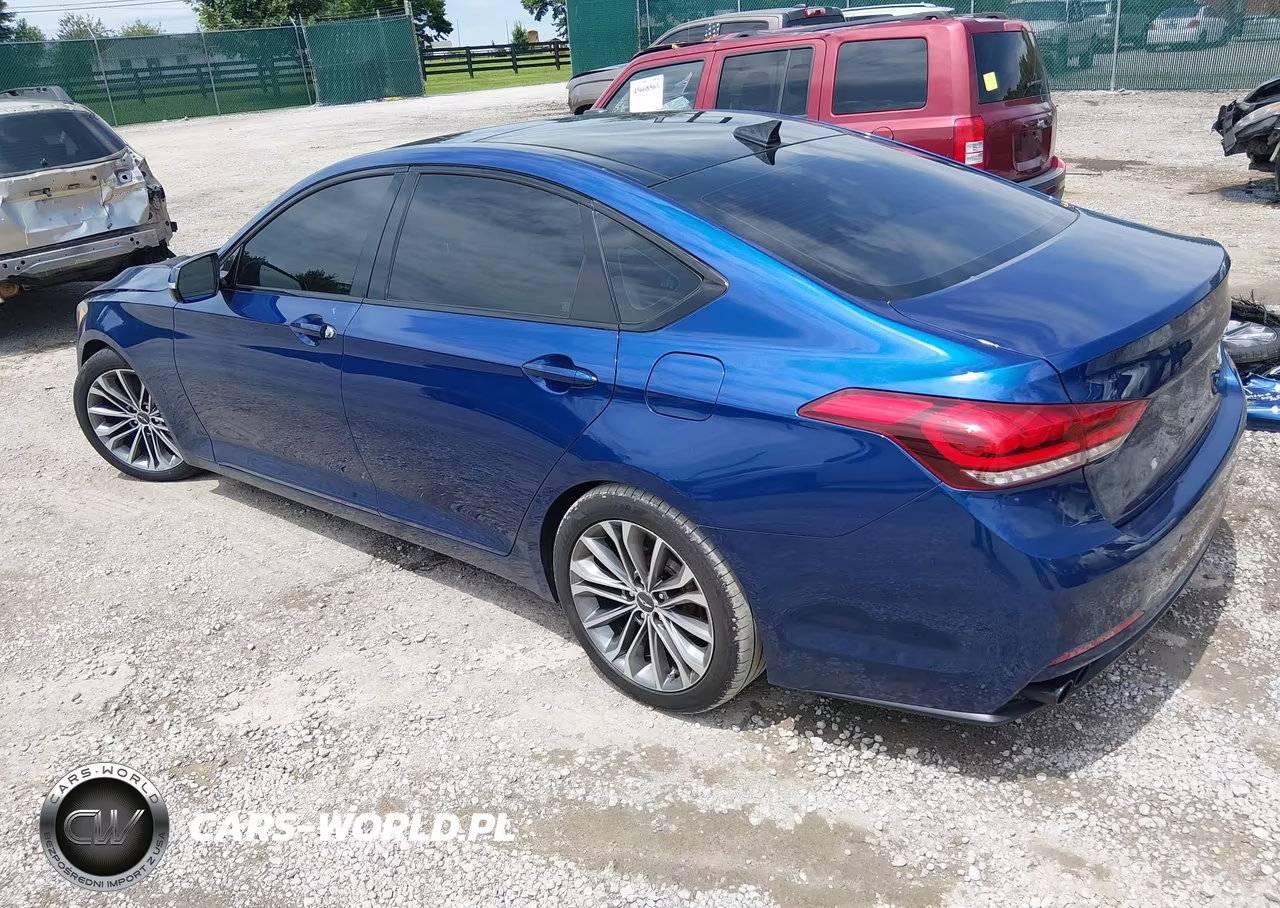 2015 Hyundai Genesis 3.8 Technology VIN:KMHGN4JE8FU036596 - 3