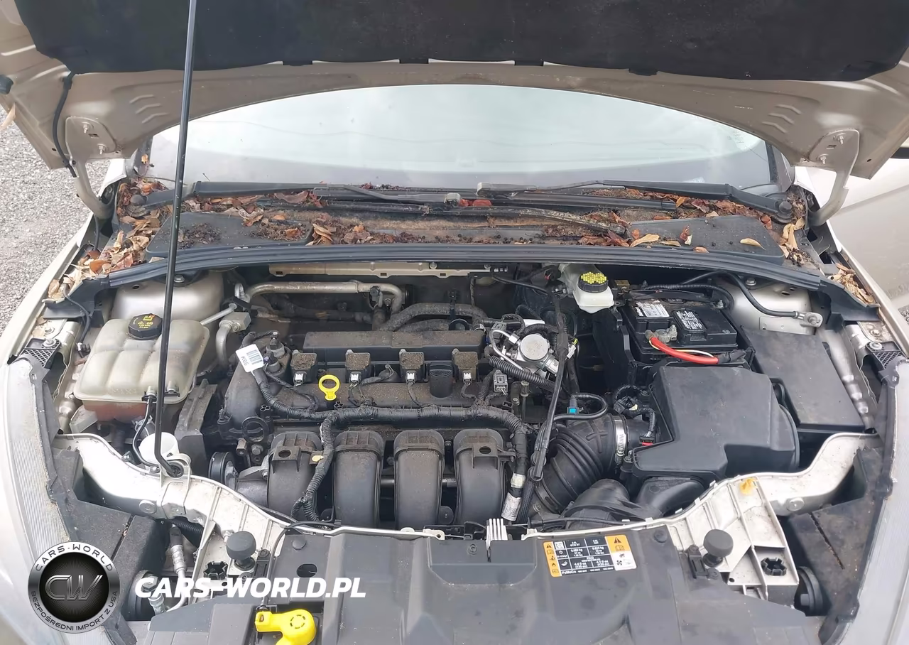2017 Ford Focus Se VIN:1FADP3F2XHL294112 - 10