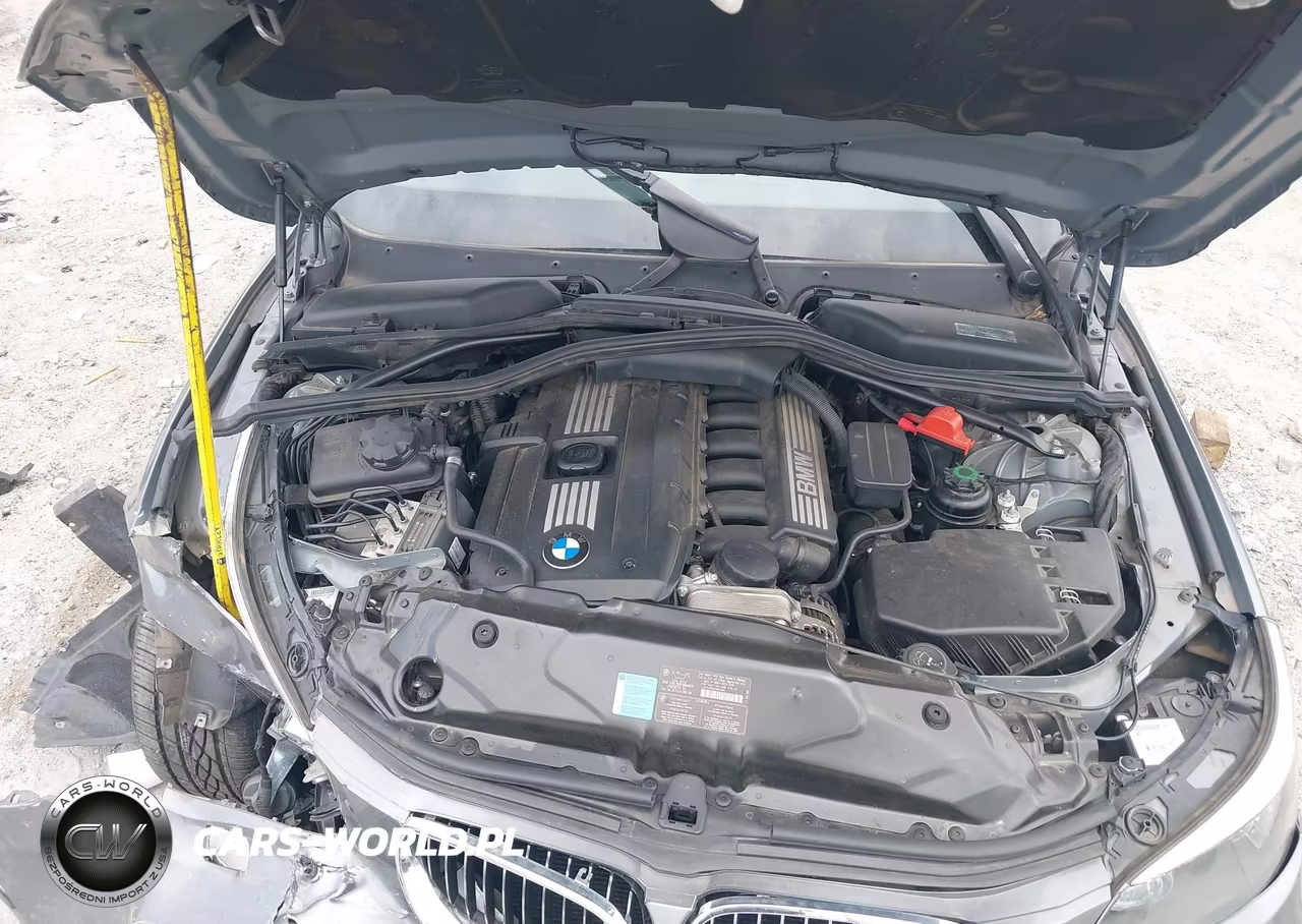 2010 BMW 528I VIN:WBANU5C53AC442430 - 10