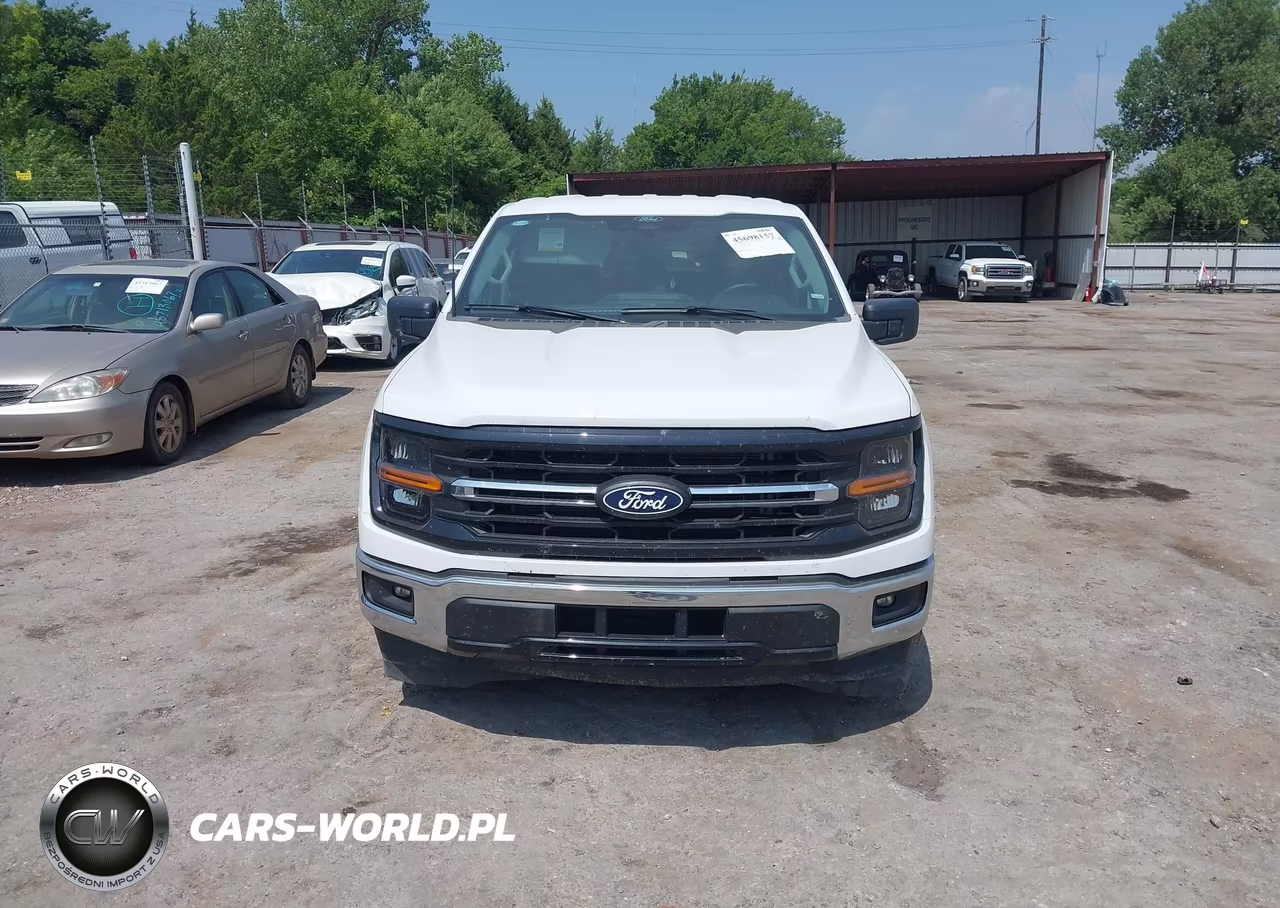2025 Ford F-150 Xlt VIN:1FTEW3K85SKE77782 - 12