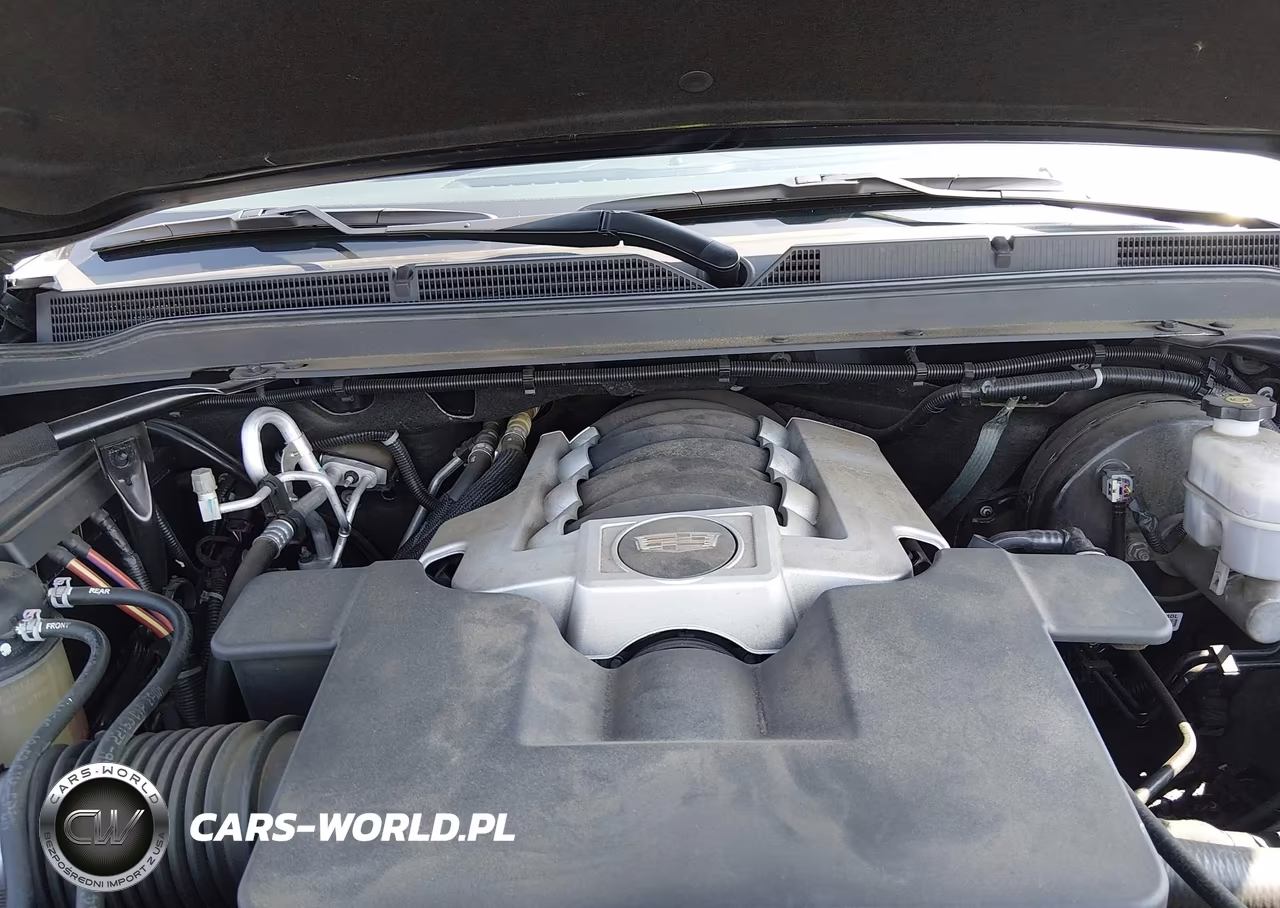 2019 Cadillac Escalade Esv Standard VIN:1GYS4GKJ9KR204297 - 10