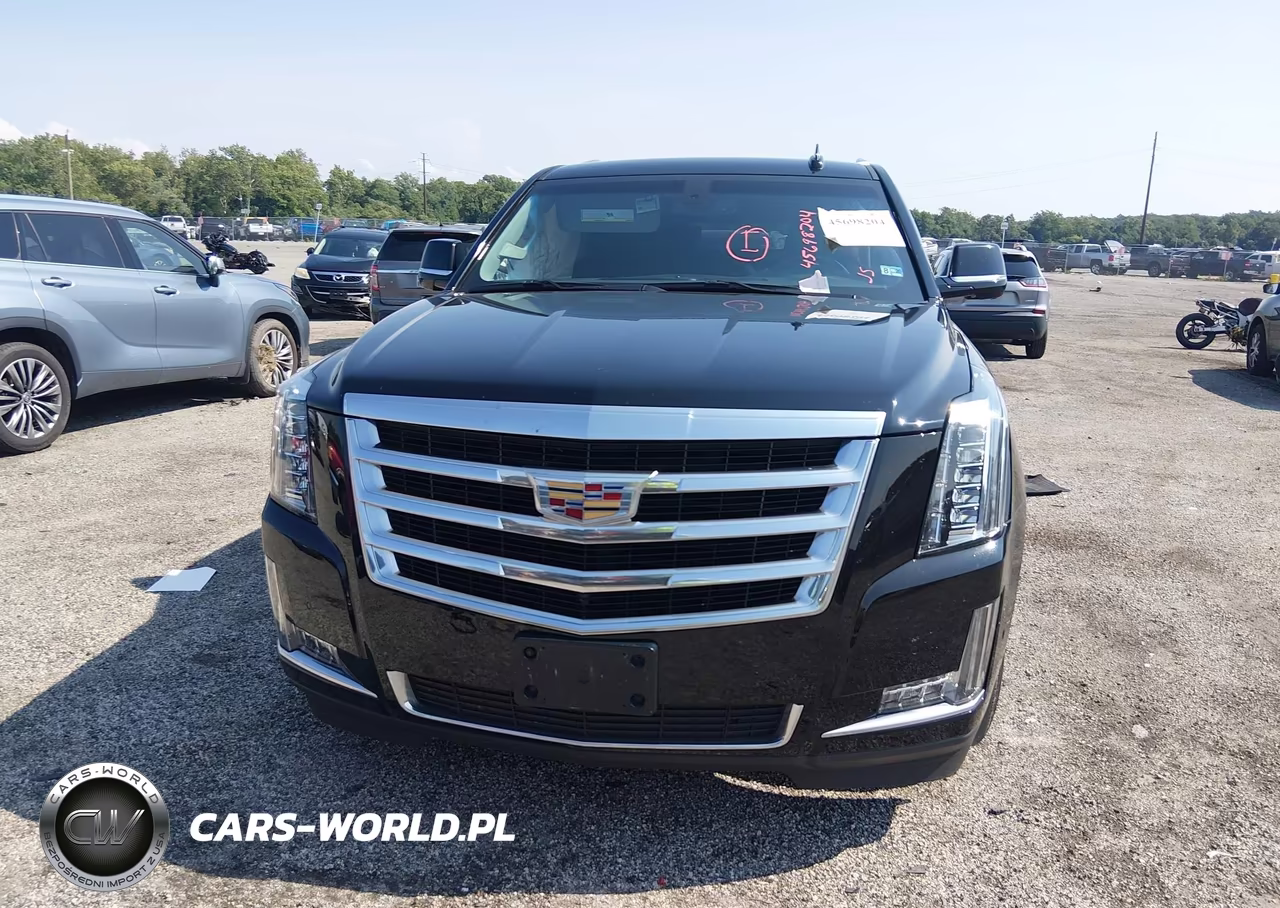 2019 Cadillac Escalade Esv Standard VIN:1GYS4GKJ9KR204297 - 12