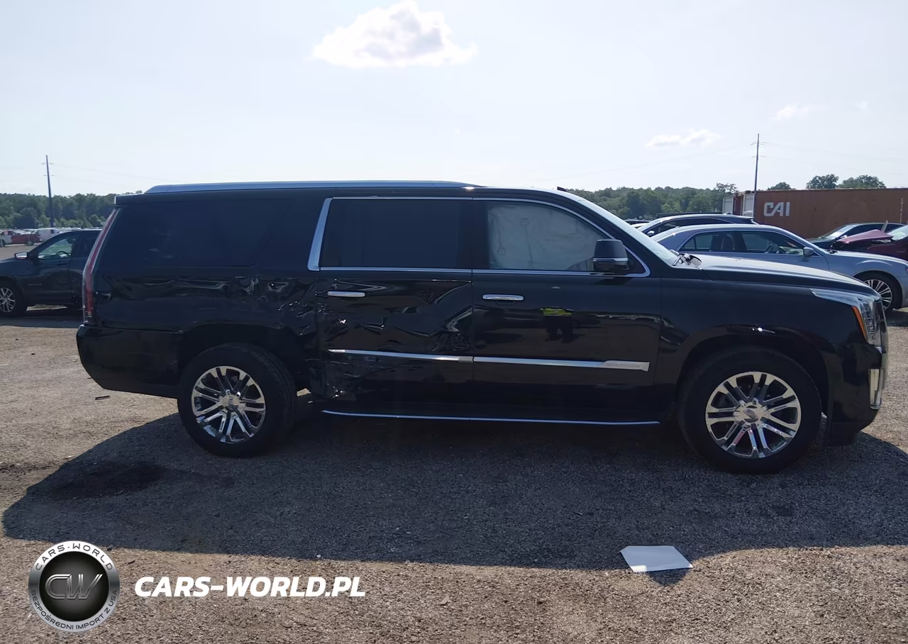 2019 Cadillac Escalade Esv Standard VIN:1GYS4GKJ9KR204297 - 13