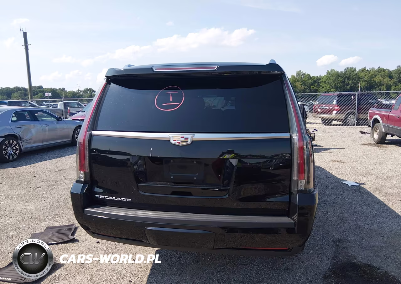 2019 Cadillac Escalade Esv Standard VIN:1GYS4GKJ9KR204297 - 16